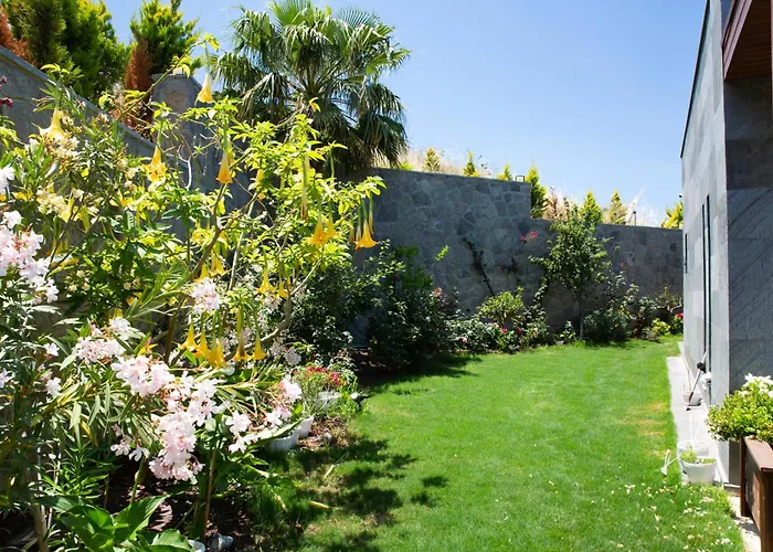 Calista By Important Group Travel *