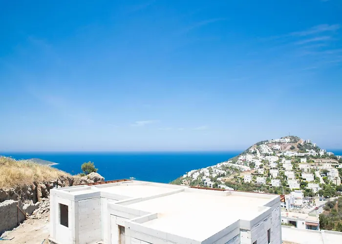 Calista By Important Group Travel